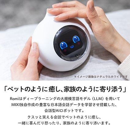 romi 会話 AI ロボット 説明書、外箱無し romi 会話 AI ロボット 説明書、外箱無し romi 会話 AI ロボット