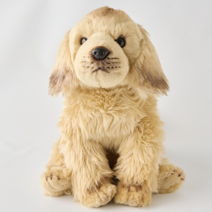 AIDog（アイドッグ）