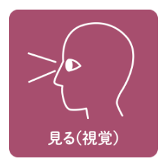 見る（視覚）